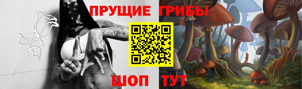 закладки  Вход с VPN  Саянск  Галлюциногенные грибы мицелий 